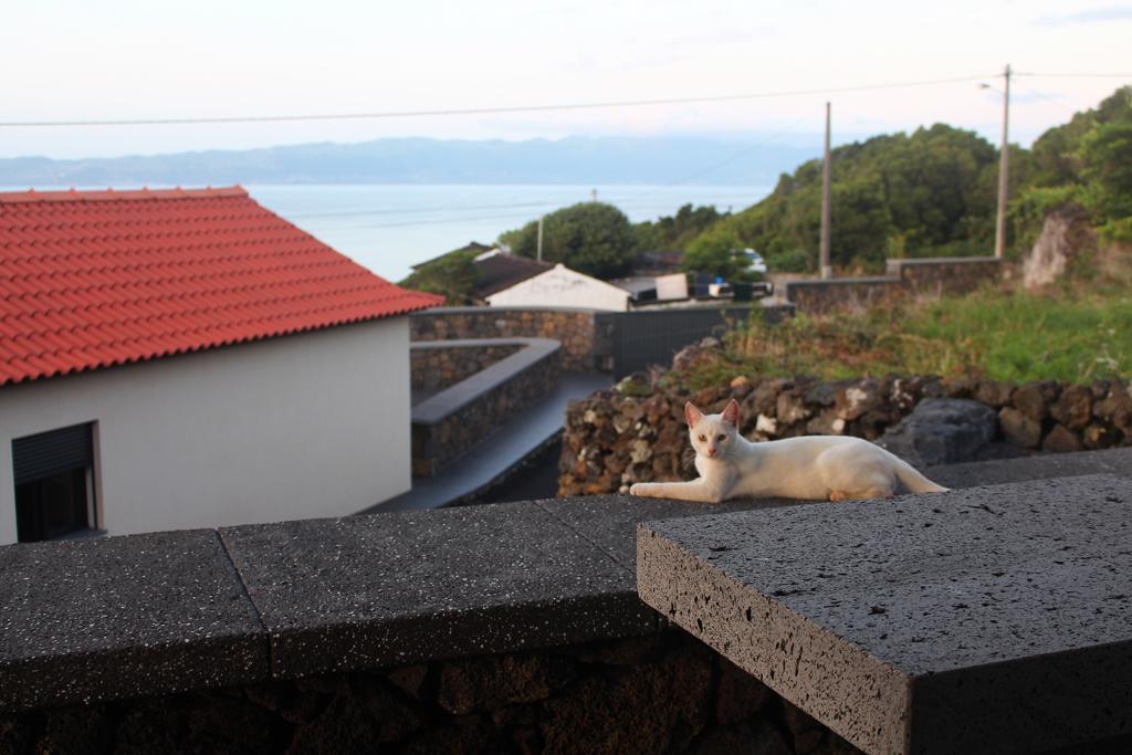 Vila Paim Santo Antonio  المظهر الخارجي الصورة
